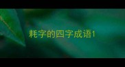 耗字的四字成语