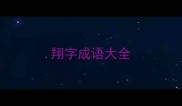 翔字成语大全