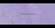 成语带光偷字成语
