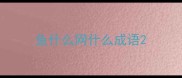 鱼什么网什么成语