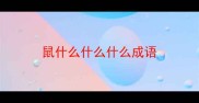 鼠什么什么什么成语