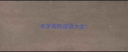 木字旁的成语大全