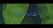 西厢记的成语