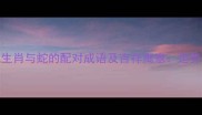 十二生肖与蛇的配对成语及吉祥寓意运势指南