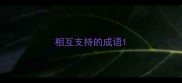 相互支持的成语