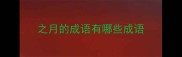 之月的成语有哪些成语