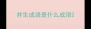井生成语是什么成语