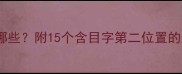 目在二的成语有哪些附15个含目字第二位置的成语及用法指南