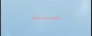扬什么吐什么成语