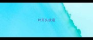 片开头成语