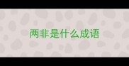 两非是什么成语