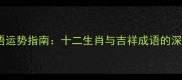 生肖成语运势指南十二生肖与吉祥成语的深层解读