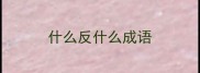 什么反什么成语