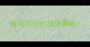 有关项羽的成语典故