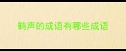 鹤声的成语有哪些成语