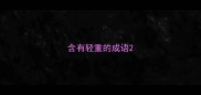 含有轻重的成语