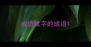 成语眦字的成语
