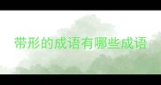 带形的成语有哪些成语