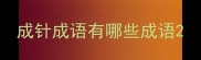 成针成语有哪些成语