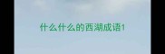 什么什么的西湖成语
