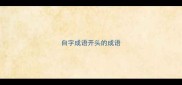 自字成语开头的成语