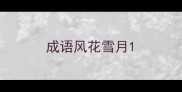 成语风花雪月