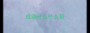 成语什么什么箭