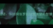 结张成语从结网张罗到结盟张望的智慧密码