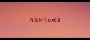 月亮树什么成语