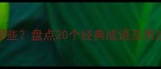 盛开头的成语有哪些盘点20个经典成语及用法附记忆技巧