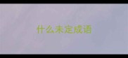 什么未定成语