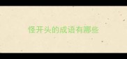 怪开头的成语有哪些