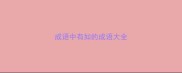 成语中有如的成语大全