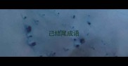 己结尾成语