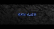 梯有什么成语