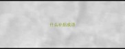 什么补拙成语