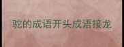 驼的成语开头成语接龙