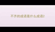 不齐的成语是什么成语