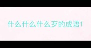什么什么什么歹的成语