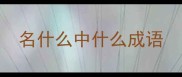 名什么中什么成语