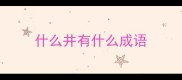 什么井有什么成语