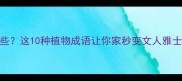 适合家居的成语树有哪些这10种植物成语让你家秒变文人雅士小红书爆款家居灵感