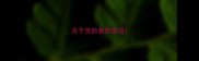 关于笑的意思成语