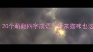 全网最全20个萌翻四字成语原来猫咪也这么会说话