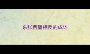 东张西望相反的成语