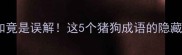 冷门成语大猪狗不如竟是误解这5个猪狗成语的隐藏含义让你惊掉下巴
