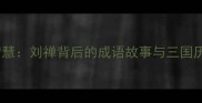 失传的智慧刘禅背后的成语故事与三国历史启示