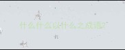 什么什么以什么之成语