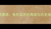 成语溯源兔死狐悲的典故与历史背景