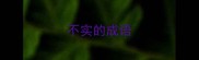 不实的成语